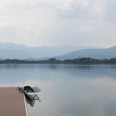 IMG_2347